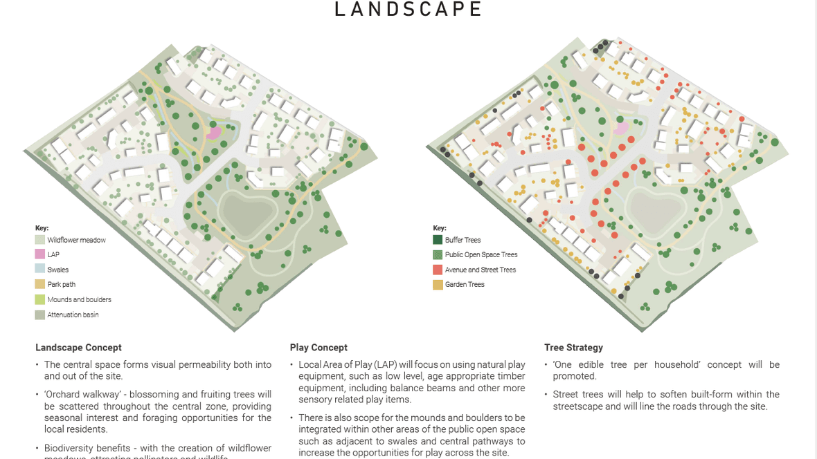 Broadmayne Landscape