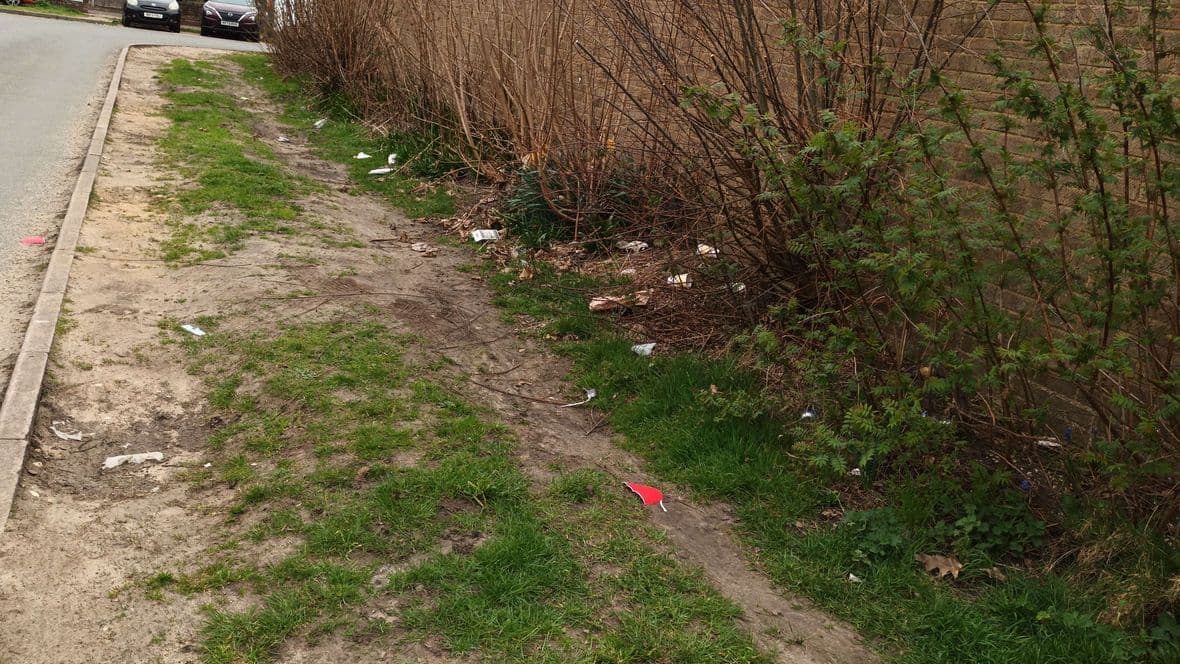 GH 1 Green Space Before Re-sized