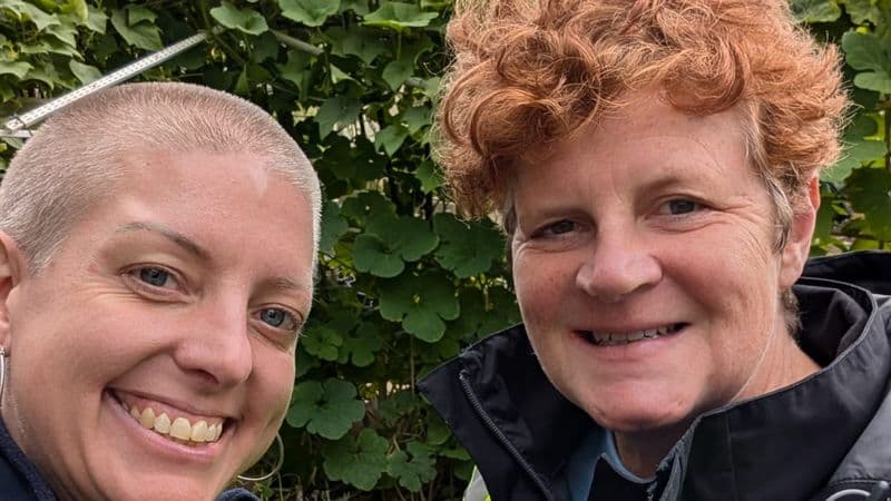 Wilder Mansbridge project