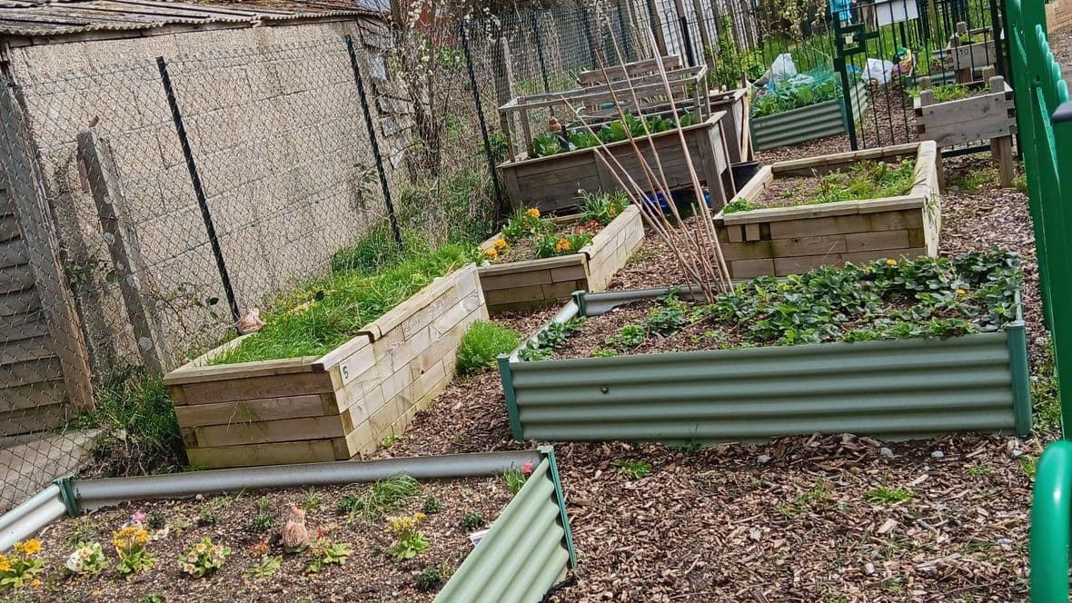 Yeovil_Westfield Community Garden Oct 24